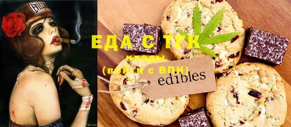 индика Покачи