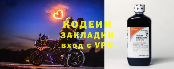 индика Покачи