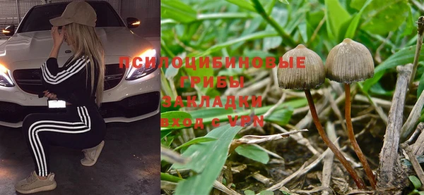 индика Покачи