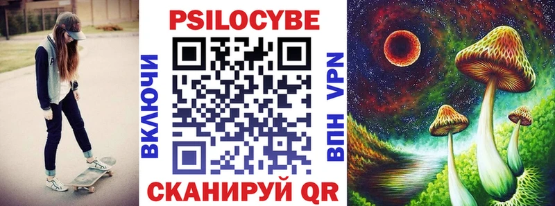 Галлюциногенные грибы Psilocybine cubensis  Купить закладки  Шагонар 